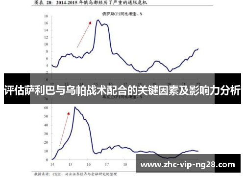 评估萨利巴与乌帕战术配合的关键因素及影响力分析