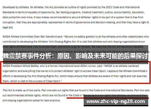 魏震禁赛事件分析：原因、影响及未来可能的后果探讨